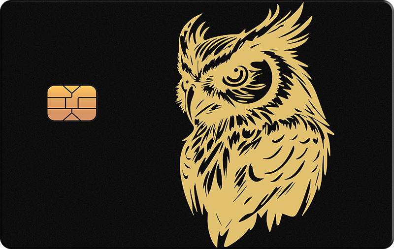 Owl 3